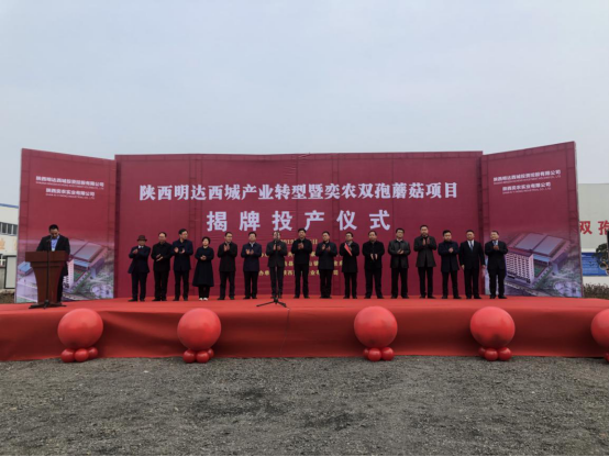 陕西第一家工厂化种植双孢蘑菇生产线在勉县建成投产