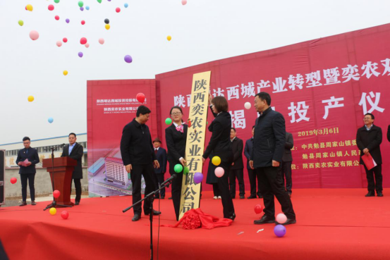 陕西第一家工厂化种植双孢蘑菇生产线在勉县建成投产